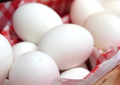 Veja alimentos que podem te fazer perder gordura e ganhar massa muscular