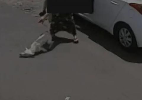 Cachorro com deficiência é abandonado duas vezes no mesmo dia; Veja vídeo 