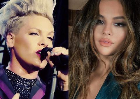 Pink faz doação de R$ 2 milhões para combate de incêndio na Austrália