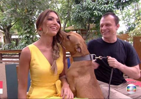 Patrícia Poeta rejeita fazer carinho em pitbull e é criticada na internet: 'Reforça preconceito'