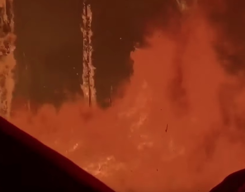 Incêndio na Austrália já contabiliza 23 pessoas e meio bilhão de animais mortos 