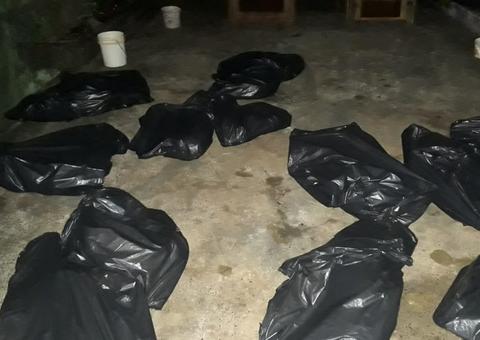 Vinte cinco cachorros são encontrados mortos em casa 