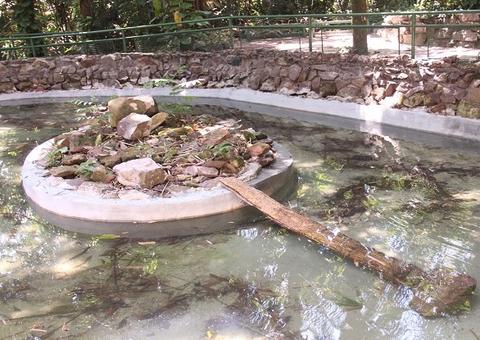 Bosque da Ciência do Inpa retoma atividades de visitação