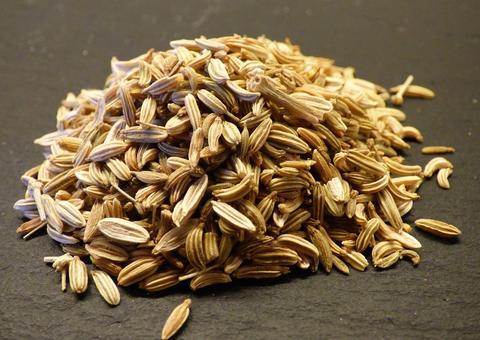 Erva-doce ajuda a controlar pressão alta e gases; conheça mais benefícios