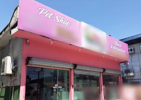 Em Manaus, Pet Shop tem fornecimento de energia suspenso após flagra de 'gato'