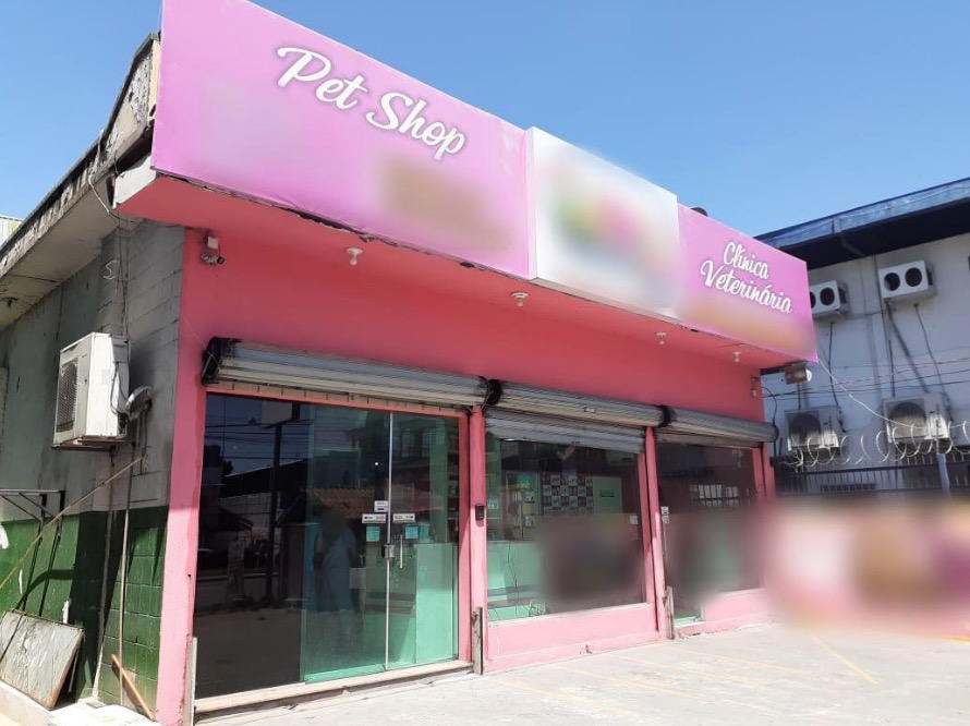 Em Manaus, Pet Shop tem fornecimento de energia suspenso após flagra de 'gato'