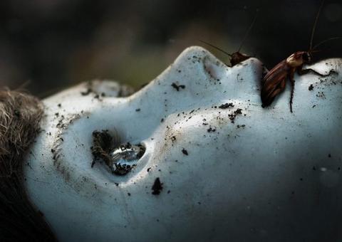 Boneco do Mal 2 ganha trailer arrepiante; vem ver