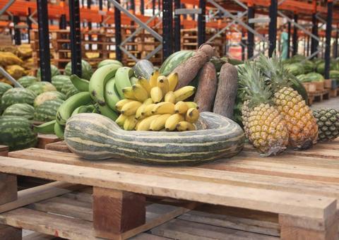 Editais para compra de merenda escolar são publicados pela Prefeitura de Manaus