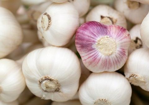  Alimentos que fortalecem o sistema imune