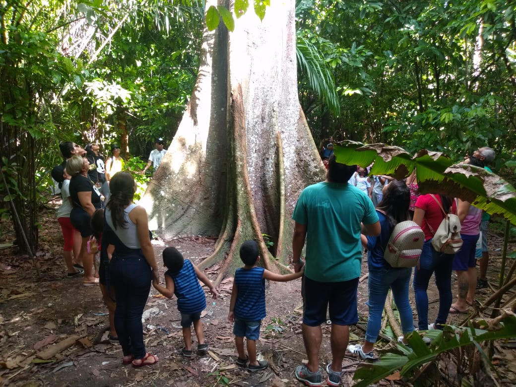 Parque Estadual Sumaúma têm trilhas guiadas e mostra de insetos raros neste sábado