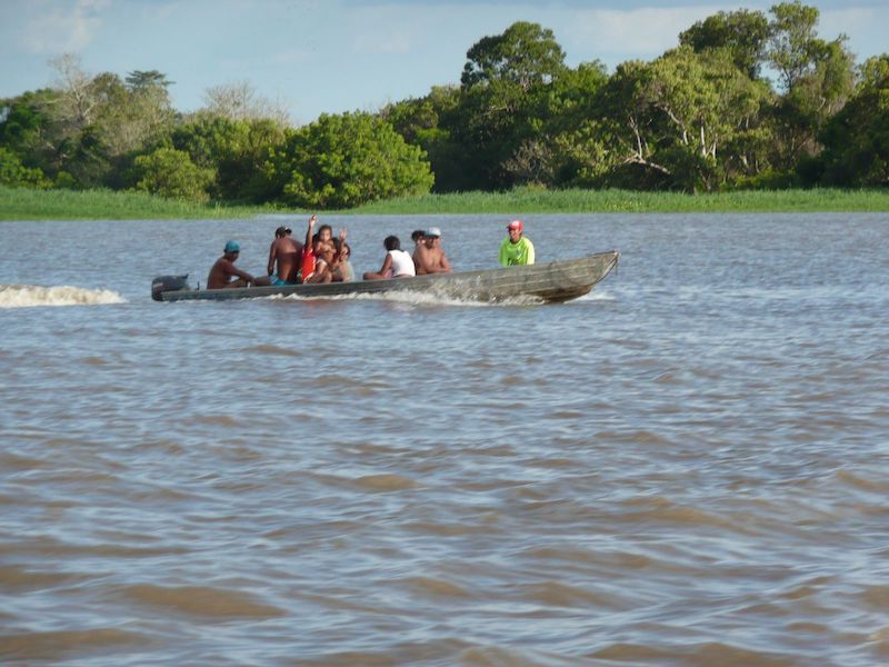 A água é aliada na vida do amazônida e na agricultura do Amazonas