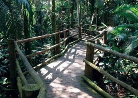 Manaus terá bosque temático e ecológico ainda este semestre