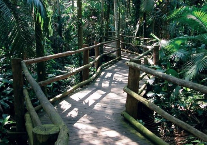 Manaus terá bosque temático e ecológico ainda este semestre