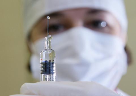 Estudo liga mães desnutridas aos efeitos da zika na formação dos fetos