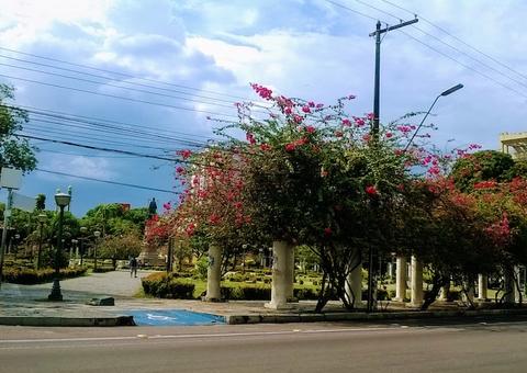 Lançamento da segunda edição do 'Adote Manaus’ acontece nesta terça