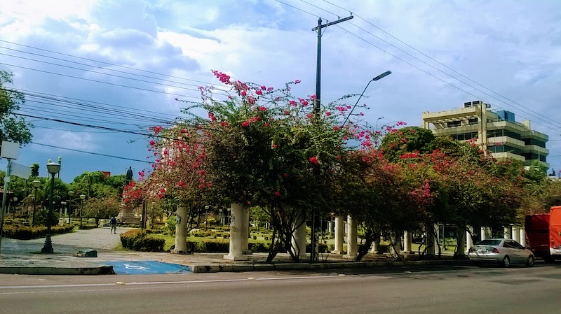Lançamento da segunda edição do 'Adote Manaus’ acontece nesta terça