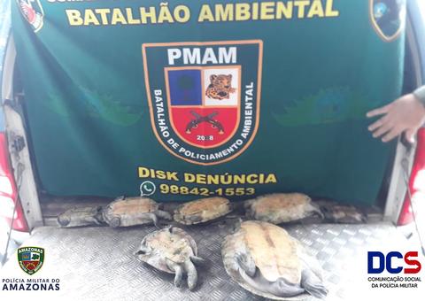Polícia apreende sete quelônios na zona leste de Manaus