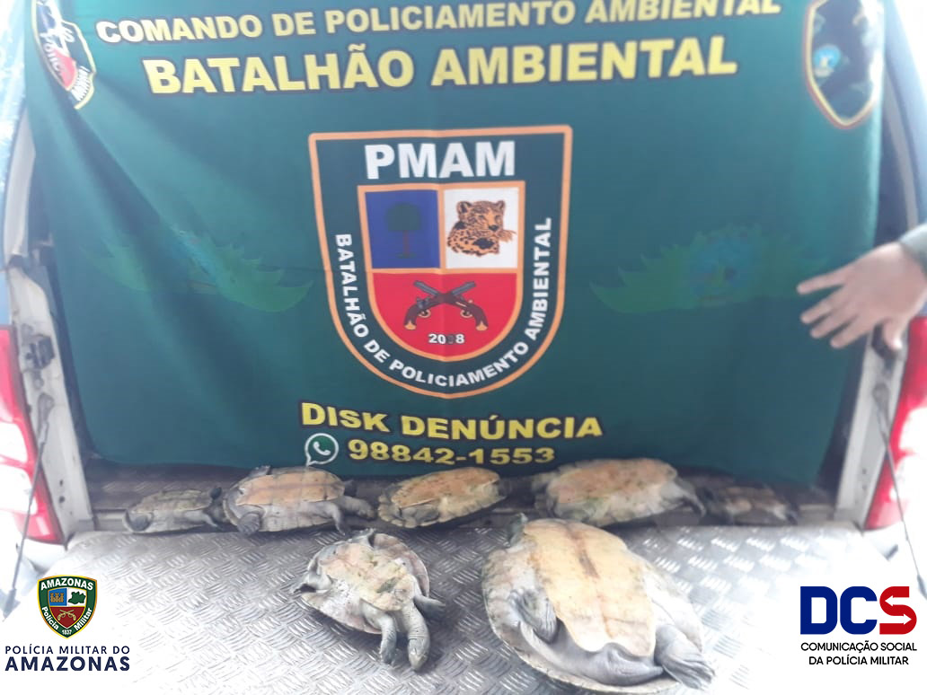 Polícia apreende sete quelônios na zona leste de Manaus