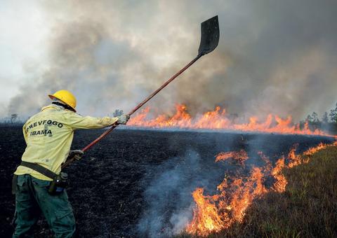 Bolsonaro dá carta branca ao desmate ilegal, diz ONG de direitos humanos