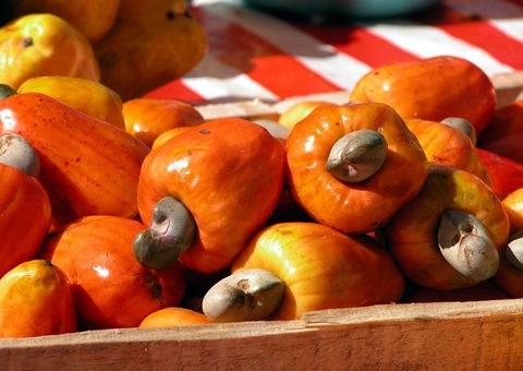 Caju tem mais Vitamina C do que laranja e protege coração; saiba mais