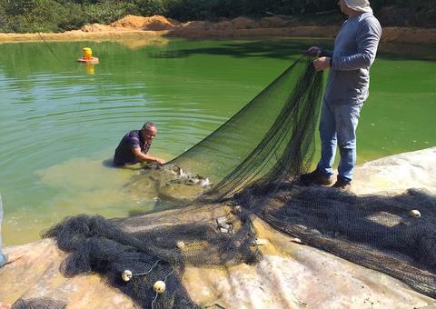 Pesca sustentável investe R$ 719 mil para atender 800 famílias no Amazonas
