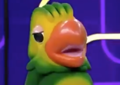  Internautas ficam chocados com vídeo do nascimento de Louro José; Entenda