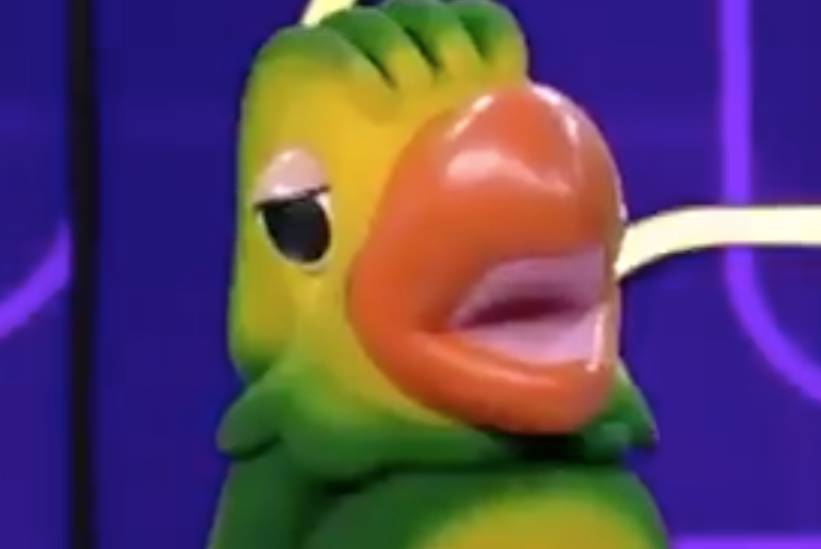  Internautas ficam chocados com vídeo do nascimento de Louro José; Entenda