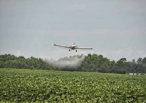 Comunidade indígena é indenizada após aplicação irregular de agrotóxicos