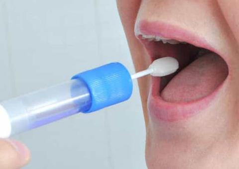 Saliva permite medir a porcentagem de gordura corporal