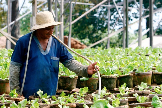 FPS lança edital de R$ 10 milhões para seleção de projetos do setor primário no Amazonas