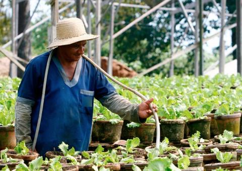 FPS lança edital de R$ 10 milhões para seleção de projetos do setor primário no Amazonas