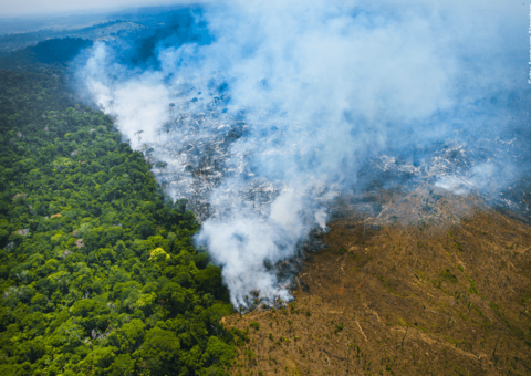 Bolsonaro põe Mourão para coordenar ações na Amazônia