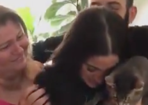 BBB20: Participantes se despedem da família em vídeo emocionante 