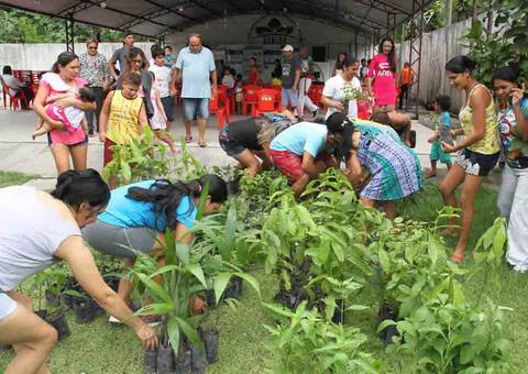Ação leva mudas de plantas e faz coleta de livros na zona Norte de Manaus