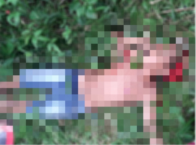 Adolescente é morto a tiros enquanto colhia frutas em granja no Amazonas