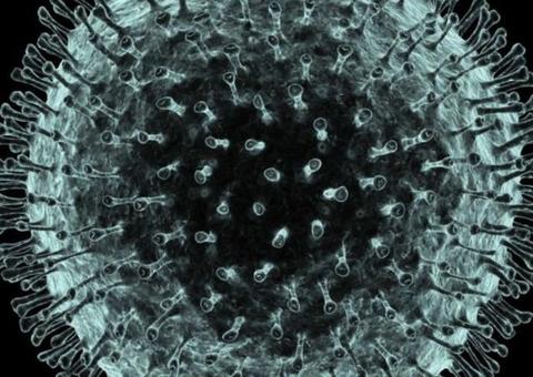 Governo investiga primeiro caso suspeito de coronavírus no Brasil 