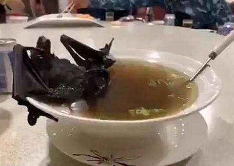 Coronavírus pode ter sido transmitido por sopa de morcego e carne de cobra