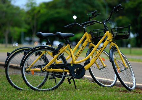 Grow reavalia se instalar na Zona Franca de Manaus e desarticula operações no Sudeste