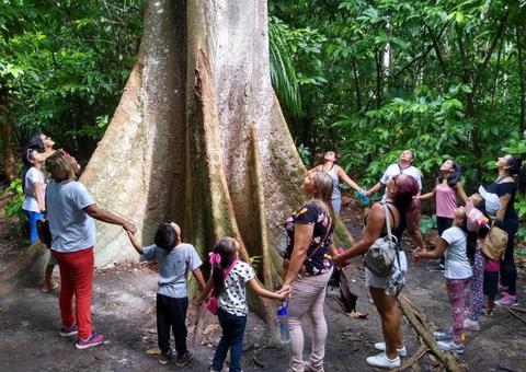 Curso de violão gratuito e trilhas na mata movimentam Parque Estadual Sumaúma