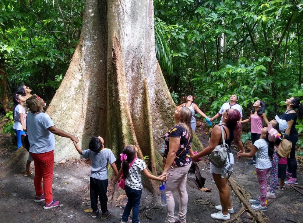 Curso de violão gratuito e trilhas na mata movimentam Parque Estadual Sumaúma