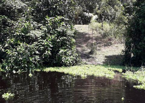 Mais de 20 ilhas artificiais construídas por indígenas são descobertas no Amazonas 