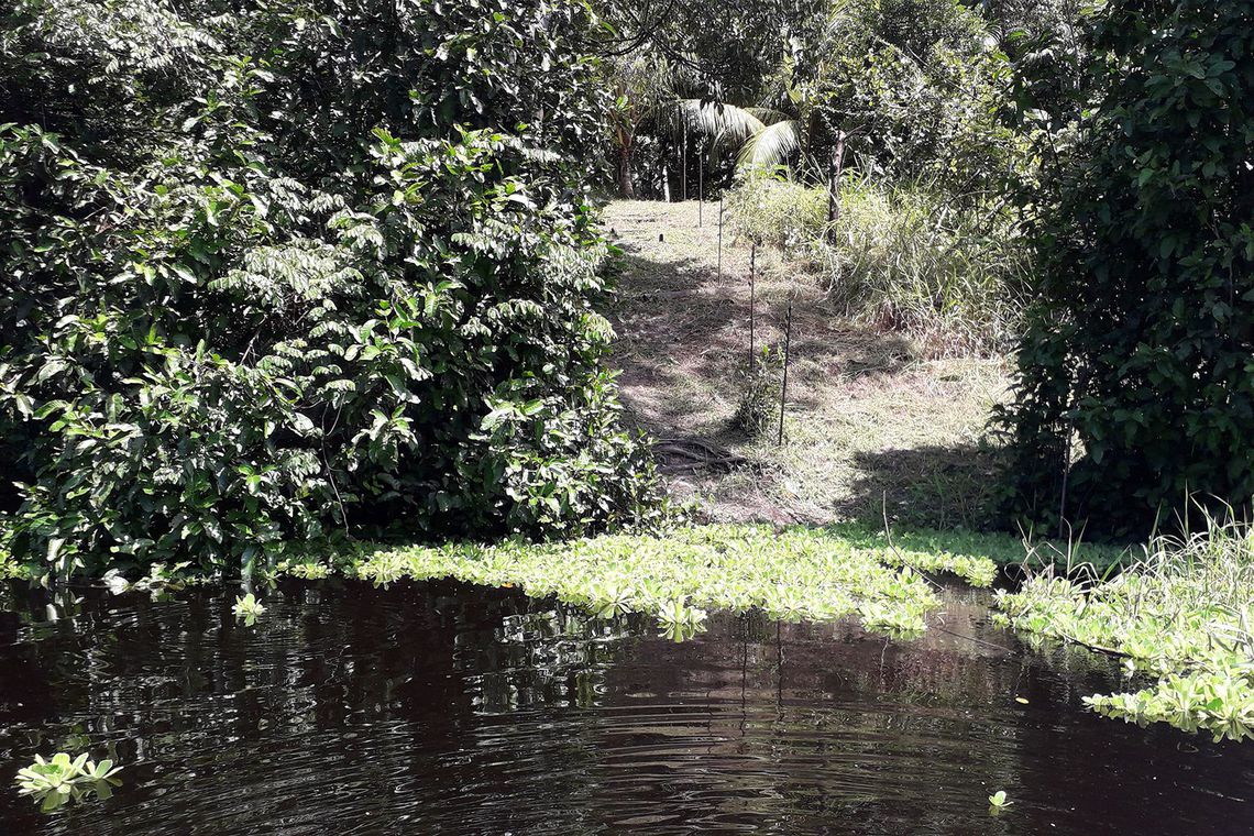 Mais de 20 ilhas artificiais construídas por indígenas são descobertas no Amazonas 