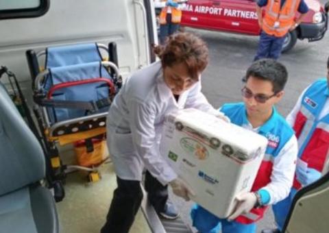 Brasil envia pele humana para vítimas de acidente no Peru