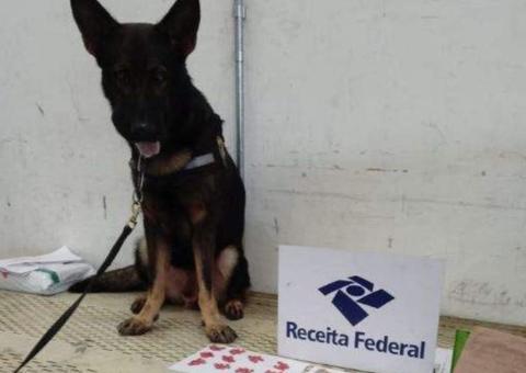 Receita Federal apreende livro de direito recheado de drogas em Manaus