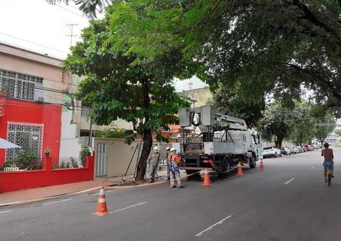 Árvore com risco de queda é removida de avenida em Manaus