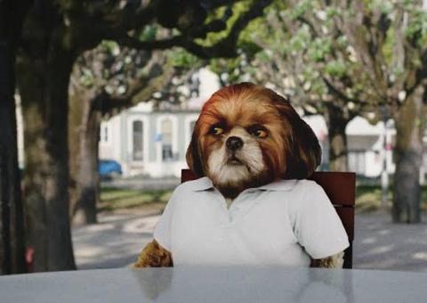 Confira a programação deste fim de semana no Cine Casarão