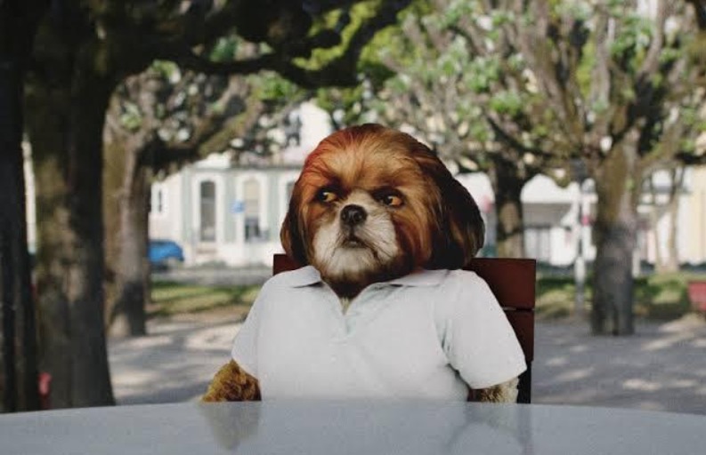 Confira a programação deste fim de semana no Cine Casarão