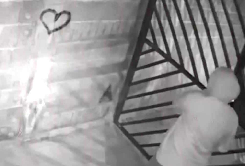 Polícia procura homem que pode ter ajudado filha a matar pais e irmão