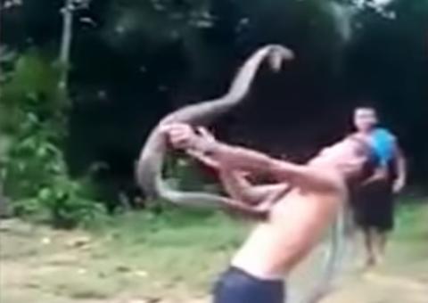 Vídeo: Encantador de serpentes morre por ataque de cobra-rei