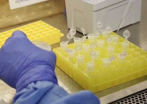 Casos suspeitos de coronavírus sobem para 12 no Brasil